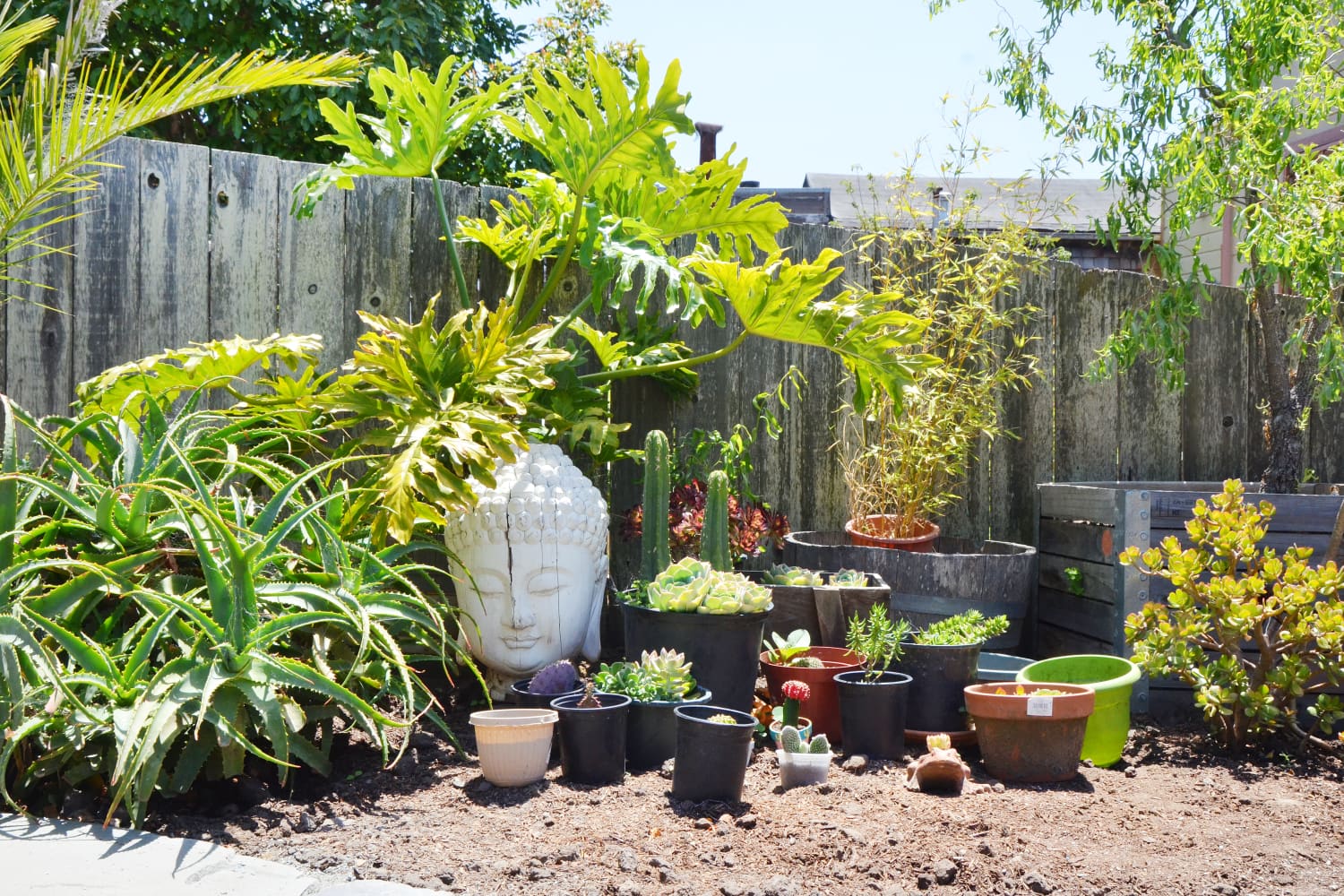 These Are the Top rated Spring Gardening Traits, According to Pinterest